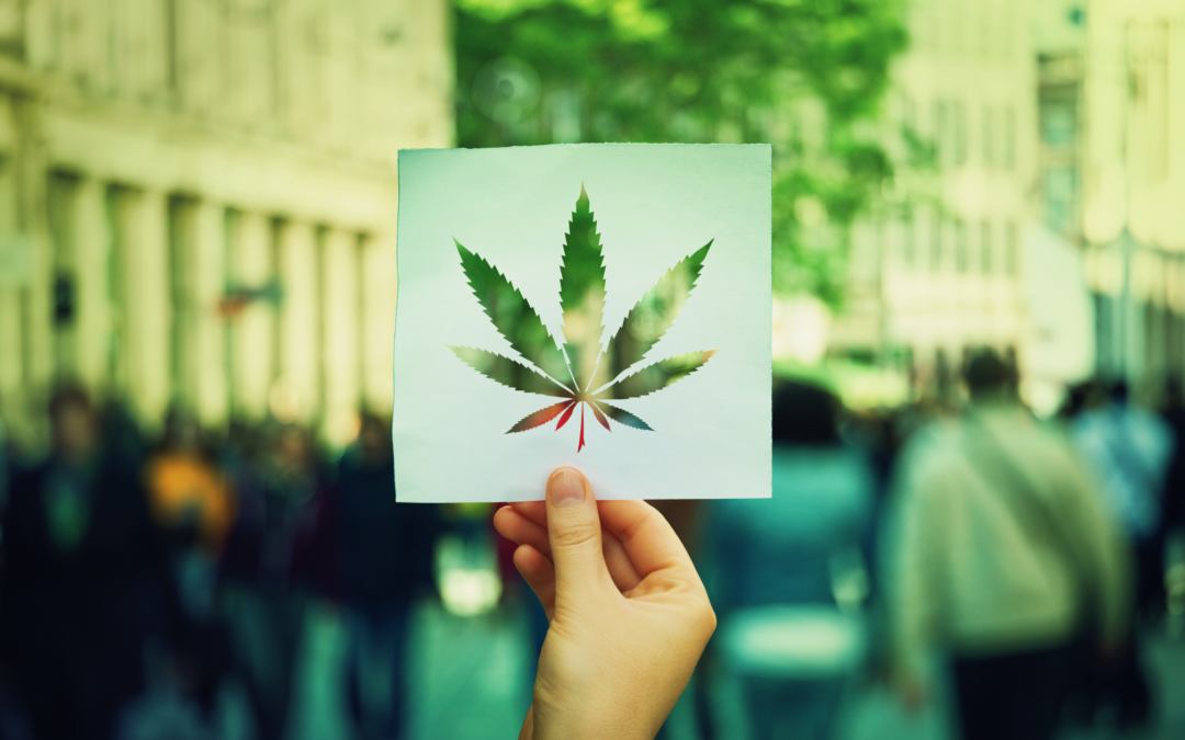 How Strong Data-Driven Programmatic Advertising Helped One Cannabis Retailer Slash Their Cost of Acquisition