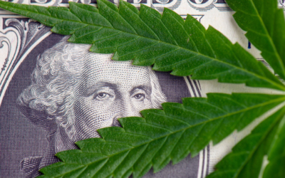 Thinking About Investing in Cannabis? First You Need to Master This…