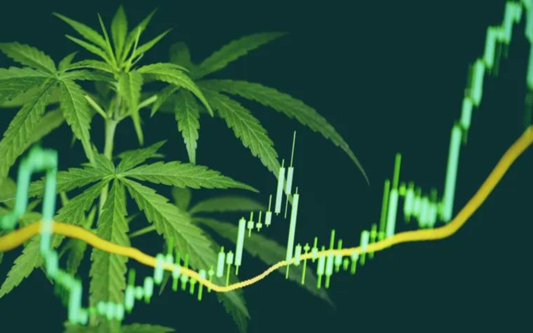7 Reasons Why NOW is the Time to Invest in Cannabis