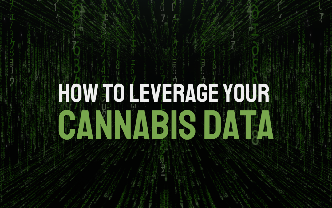 How To Leverage Your Cannabis Data