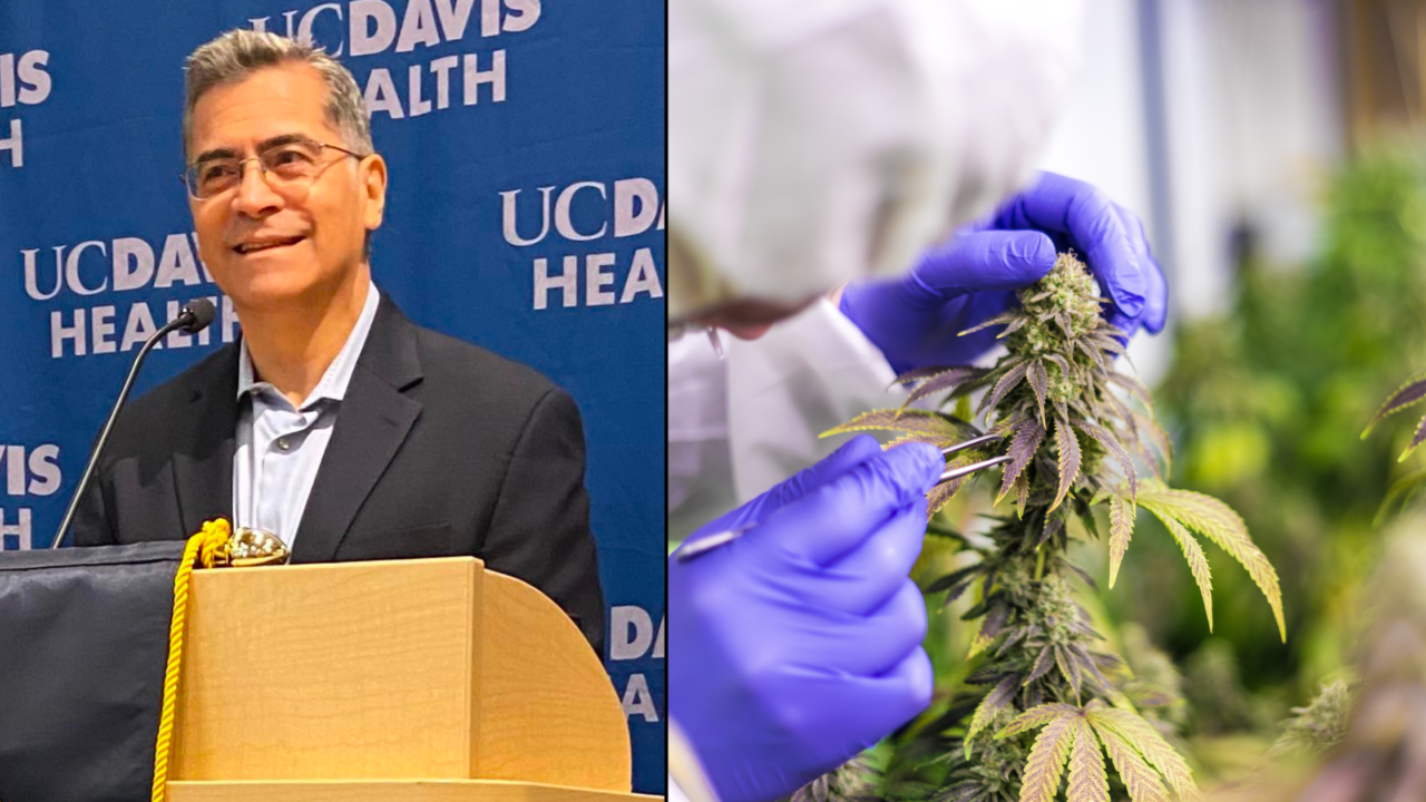 HHS Recommends Rescheduling Cannabis From Schedule I To Schedule III ...