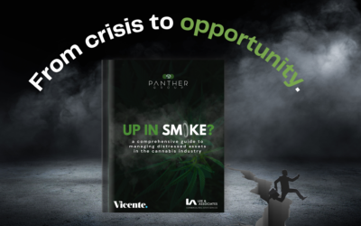 The Panther Group Unveils ‘Up in Smoke?’ – A Comprehensive Guidebook for Navigating Distressed Assets in the Cannabis Industry