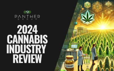 2024 Cannabis Industry Review: Wins, Losses, and Lessons