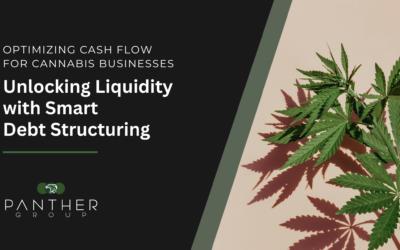 Optimizing Cash Flow for Cannabis Businesses: Unlocking Liquidity with Smart Debt Structuring